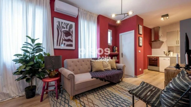 Piso en alquiler en Embajadores-Lavapiés