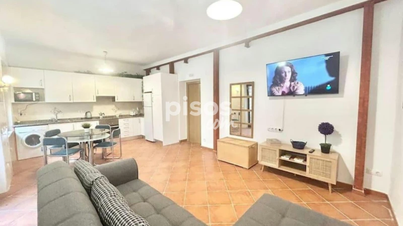 Piso en alquiler en Embajadores-Lavapiés
