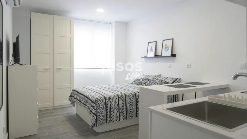 Piso en alquiler en Opañel