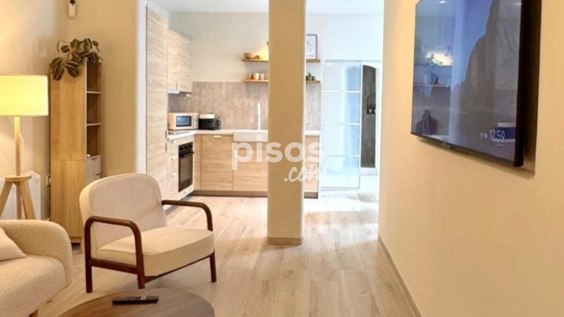 Piso en alquiler en Embajadores-Lavapiés