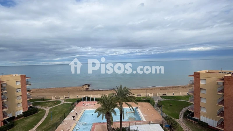 Pis – Dénia