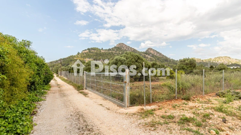 Terreno en venta en Pedreguer
