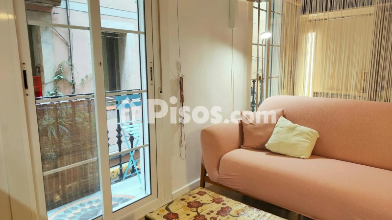 Piso en alquiler en Sant Pere-Santa Caterina-La Ribera