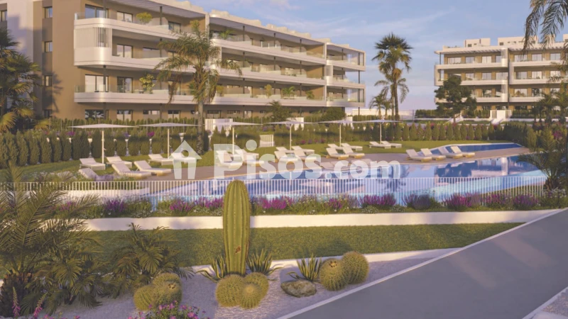Pis – Torrevieja