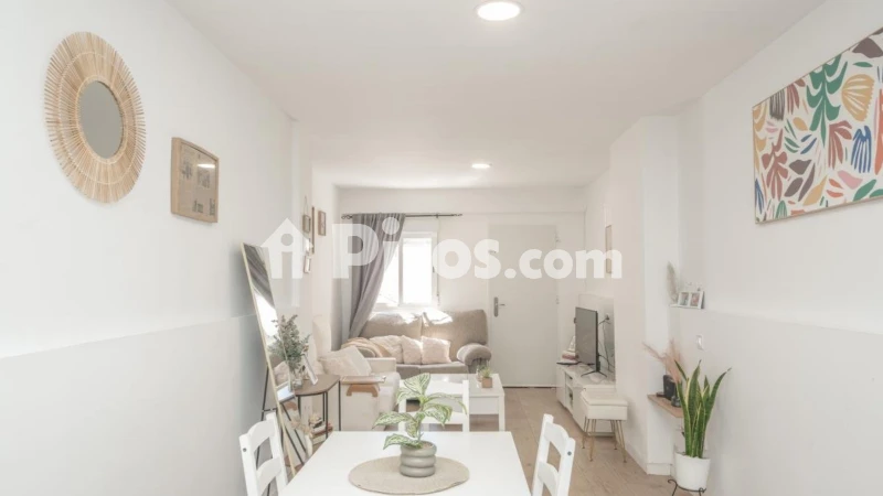 Pis – Alicante - Alacant
