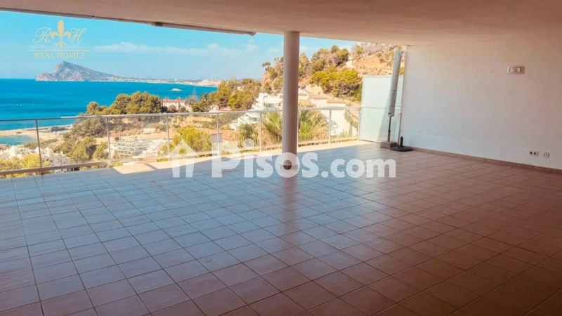 Pis – Altea