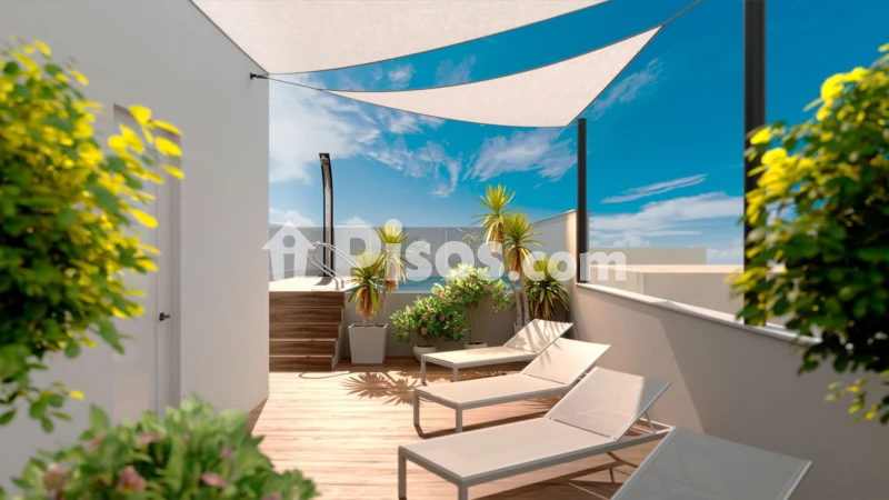Pis – Torrevieja