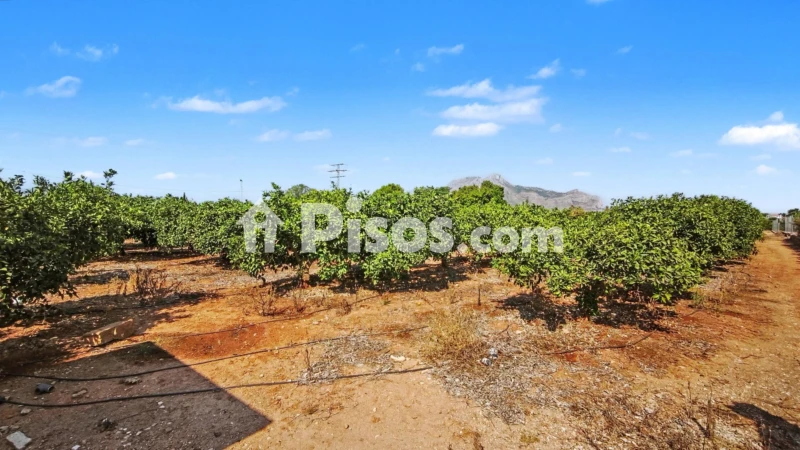 Terreno en venta en Ondara