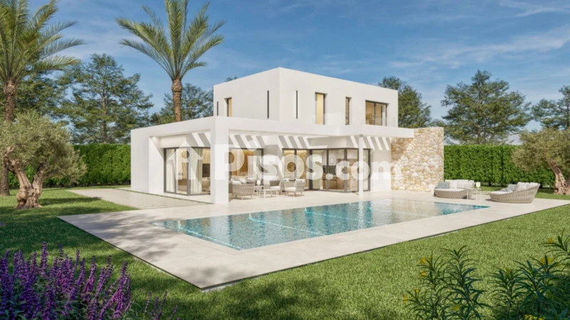 Pis – Moraira