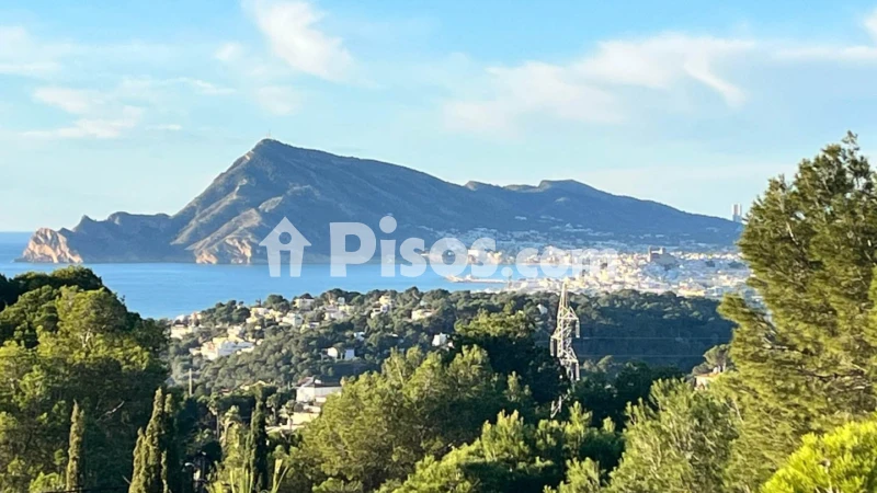 Pis – Altea