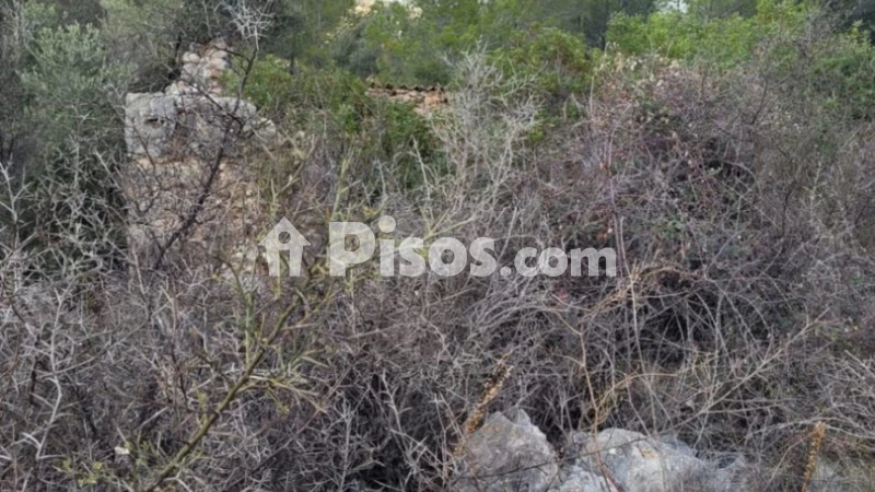 Terreno en venta en Alcalalí