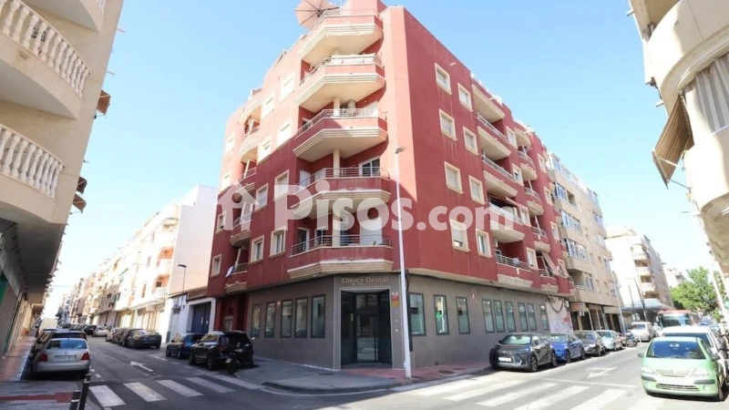 Pis – Torrevieja