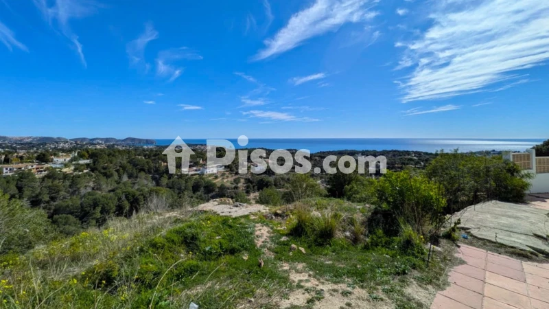 Pis – Benissa