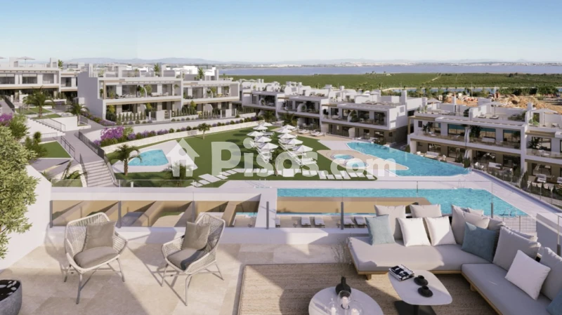 Pis – Orihuela