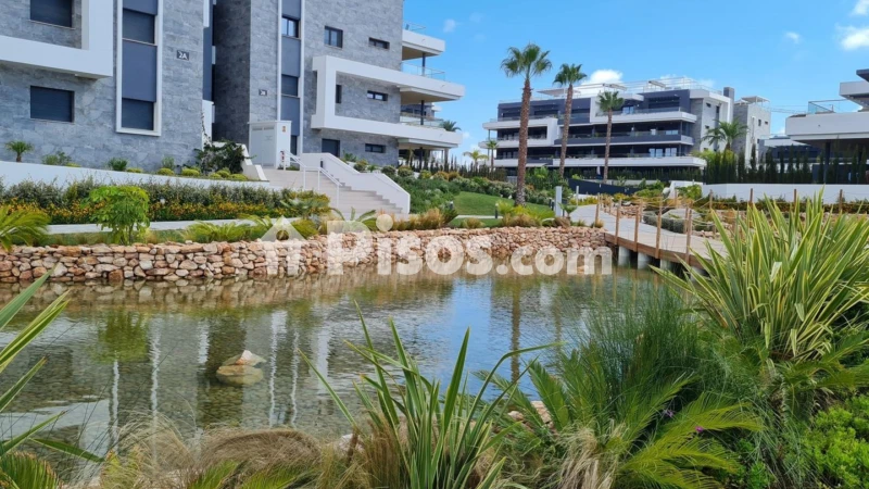 Piso – Torrevieja, Urbanización El Chaparral