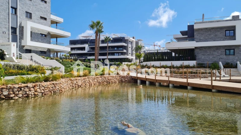 Pis – Torrevieja, Urbanización El Chaparral