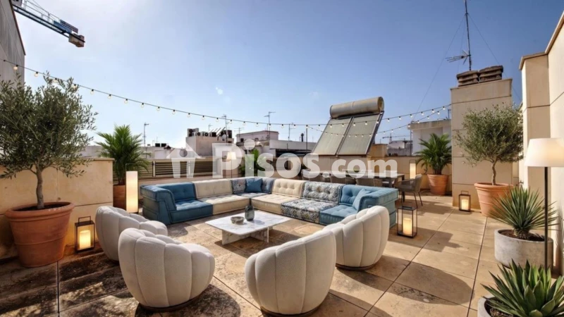 Piso – Torrevieja, Europa
