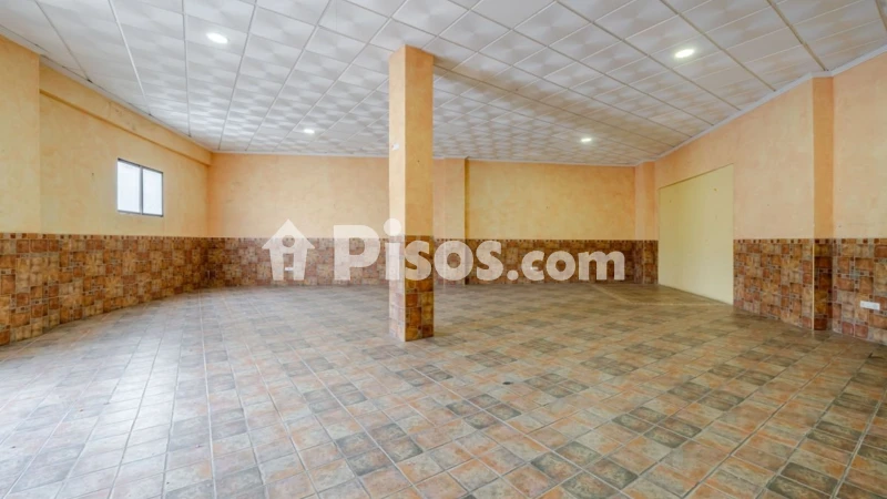 Pis – Alicante - Alacant