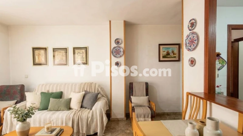 Pis – Torrevieja