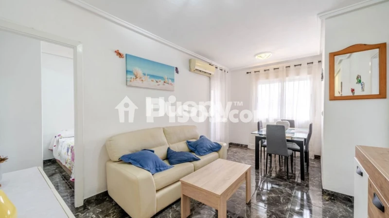 Pis – Torrevieja