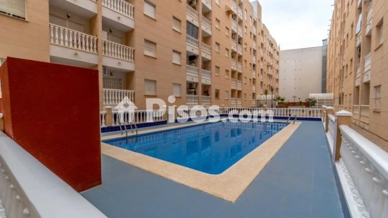Pis – Torrevieja