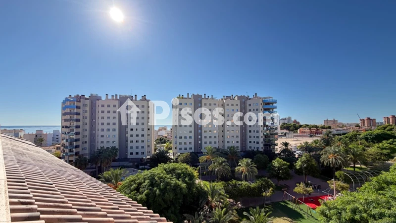 Piso – el Campello, Pla d’en Sarrió, Urbanització L'Almadrava