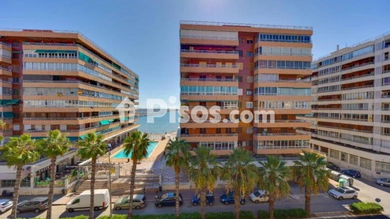 Pis – Torrevieja
