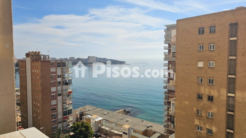 Pis – Alicante - Alacant