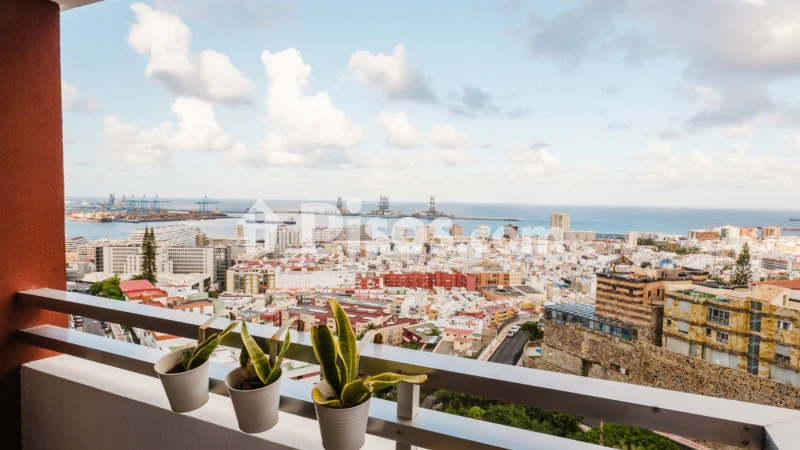 Fotografía del inmueble reportado: 1.100 €/mes — Las Palmas, Las Palmas