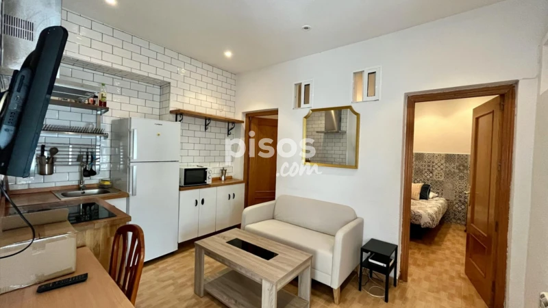 Piso en alquiler en Embajadores-Lavapiés