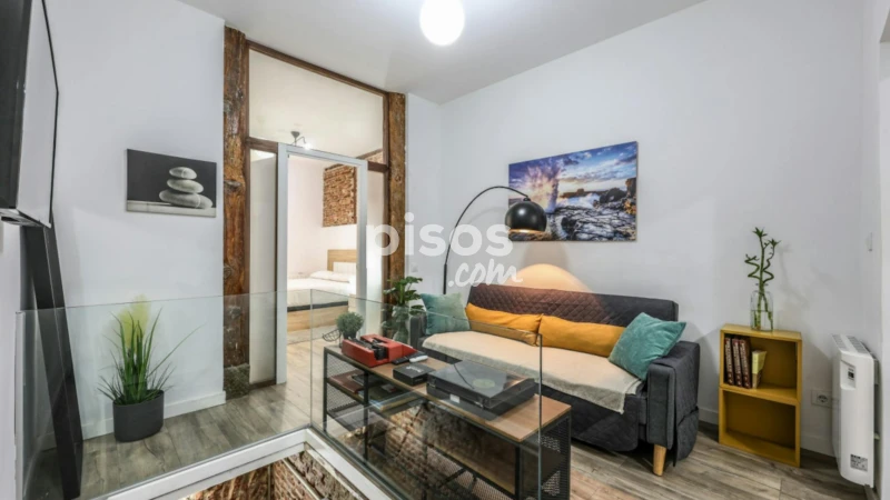 Piso en alquiler en Embajadores-Lavapiés