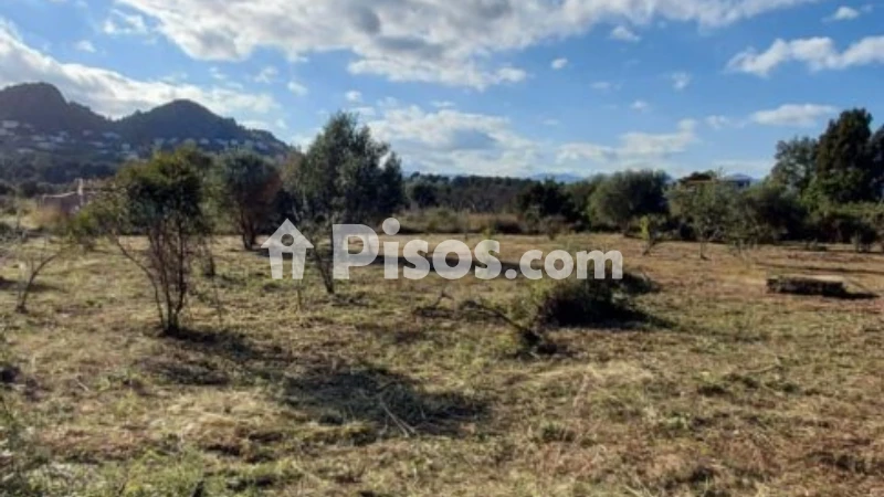 Terreno en venta en La Xara