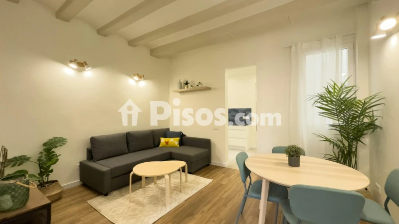Piso en alquiler en El Raval
