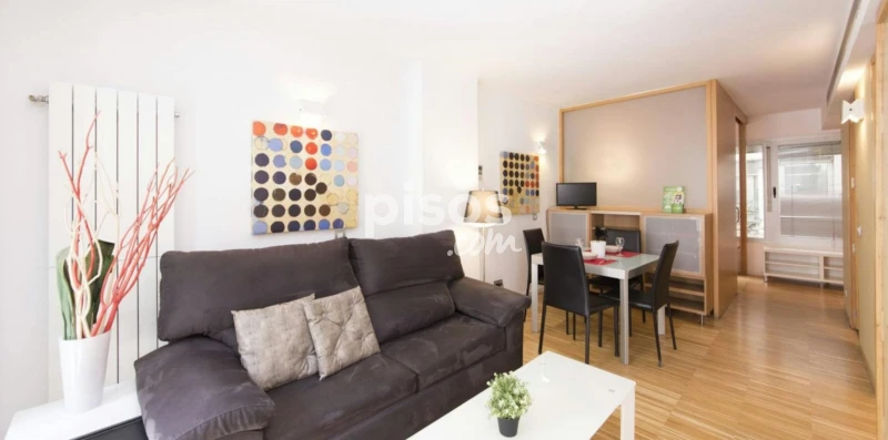 Piso en alquiler en Embajadores-Lavapiés