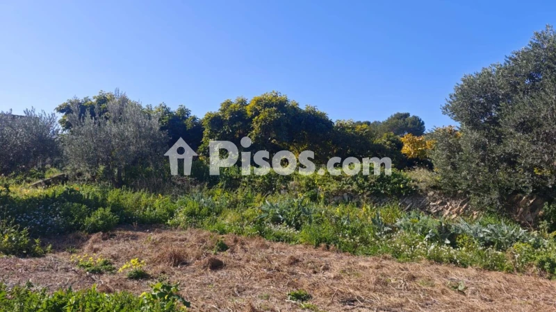 Terreno en venta en los Cerezos-La Mandarina-La Finca-Covatelles