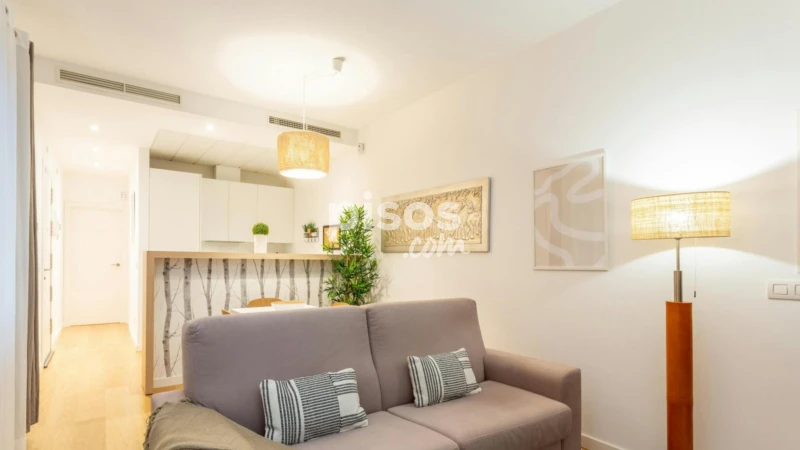 Piso en alquiler en Goya