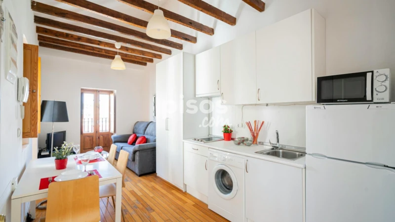 Piso en alquiler en Puerta del Ángel