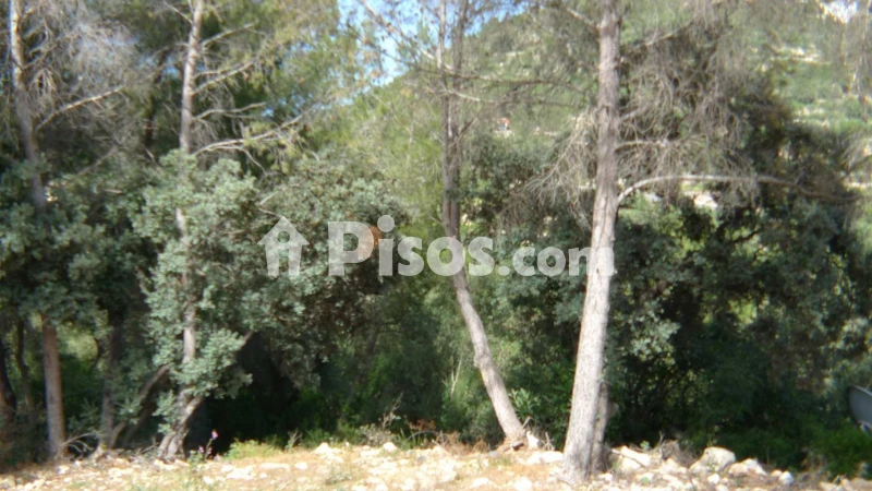 Terreno en venta en Alcalalí