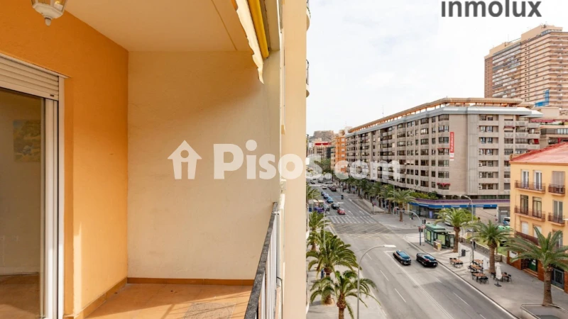 Piso – Alacant / Alicante, Diputació, l'Alacantí