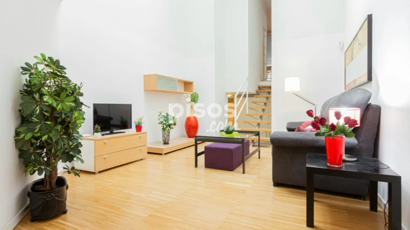 Piso en alquiler en Embajadores-Lavapiés
