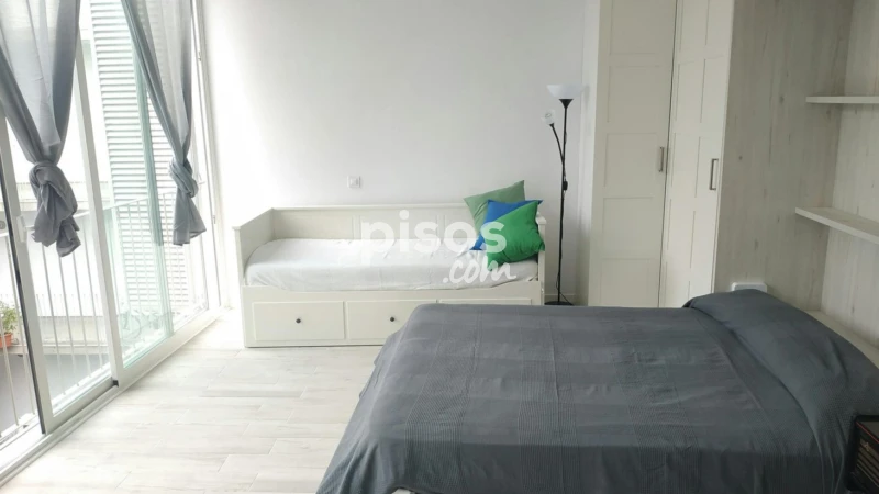 Piso en alquiler en Embajadores-Lavapiés