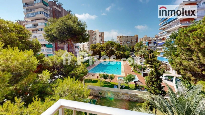 Pis – Alicante - Alacant