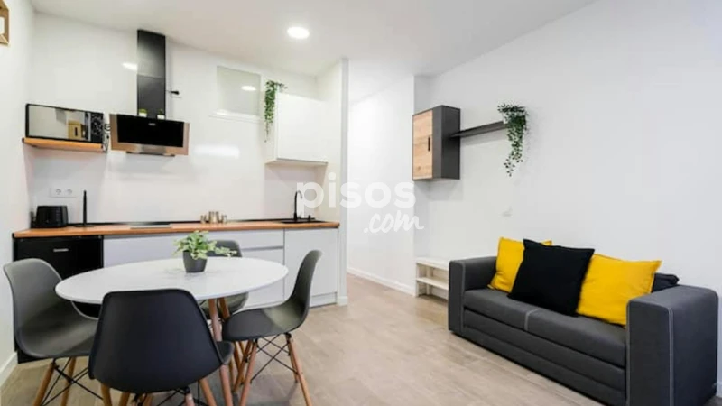 Piso en alquiler en Embajadores-Lavapiés