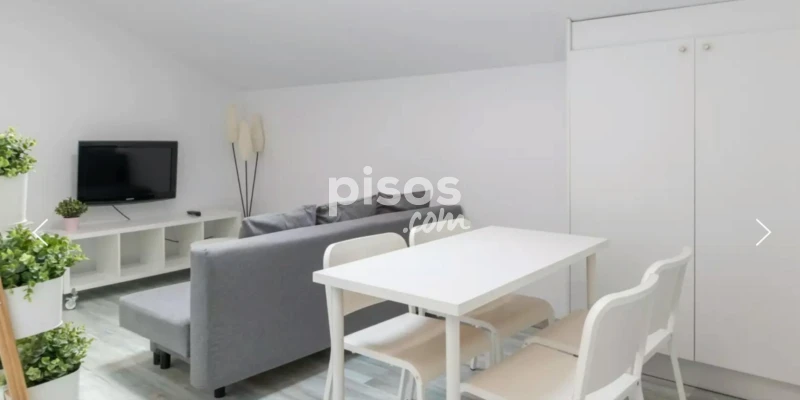 Piso en alquiler en Embajadores-Lavapiés