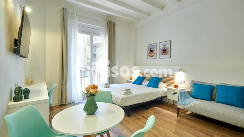 Piso en alquiler en El Raval
