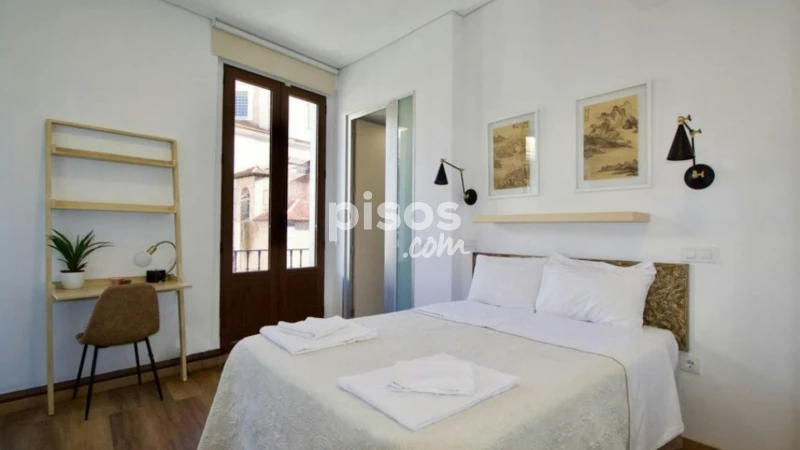 Piso en alquiler en Embajadores-Lavapiés