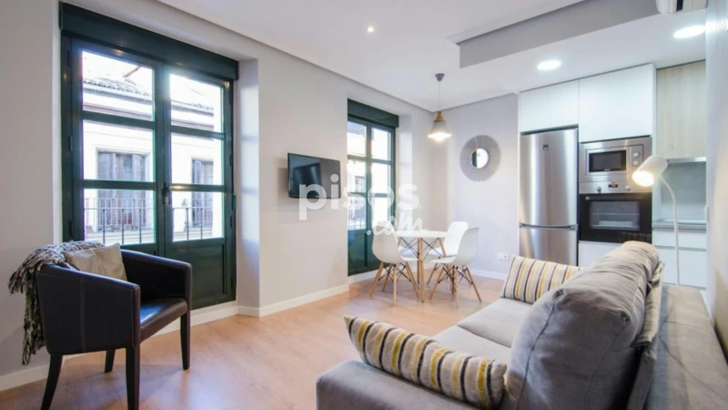 Piso en alquiler en Embajadores-Lavapiés