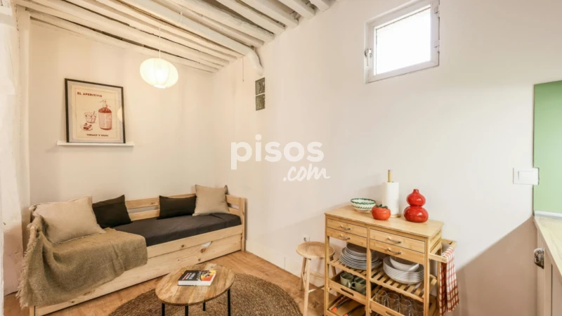 Piso en alquiler en Embajadores-Lavapiés