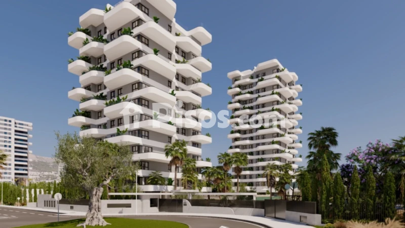 Pis – Calpe - Calp