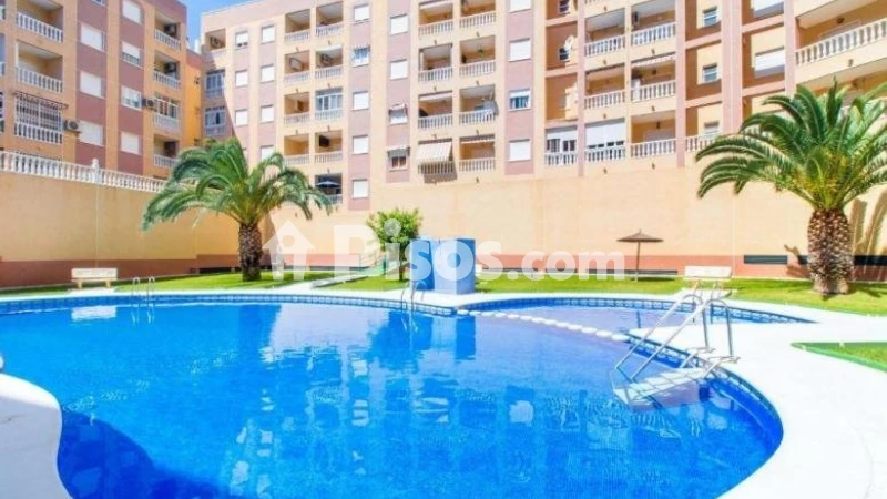 Pis – Torrevieja